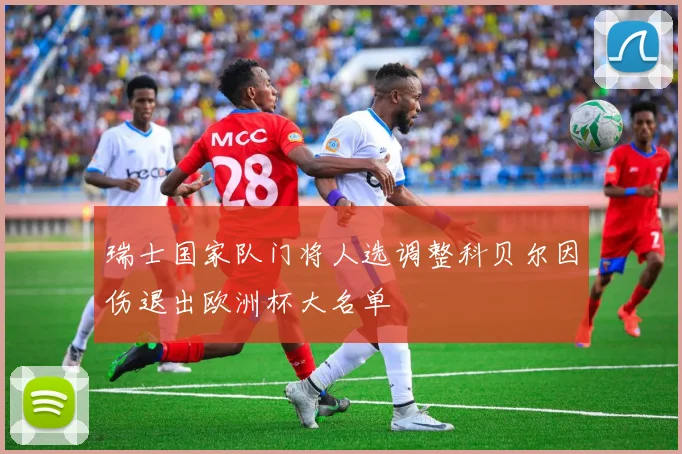 瑞士国家队门将人选调整科贝尔因伤退出欧洲杯大名单